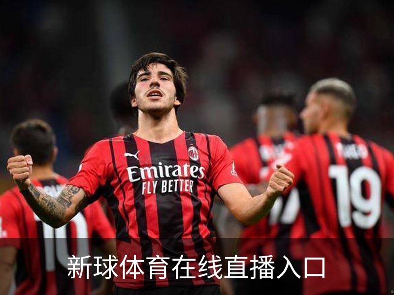 新球体育在线直播入口介绍